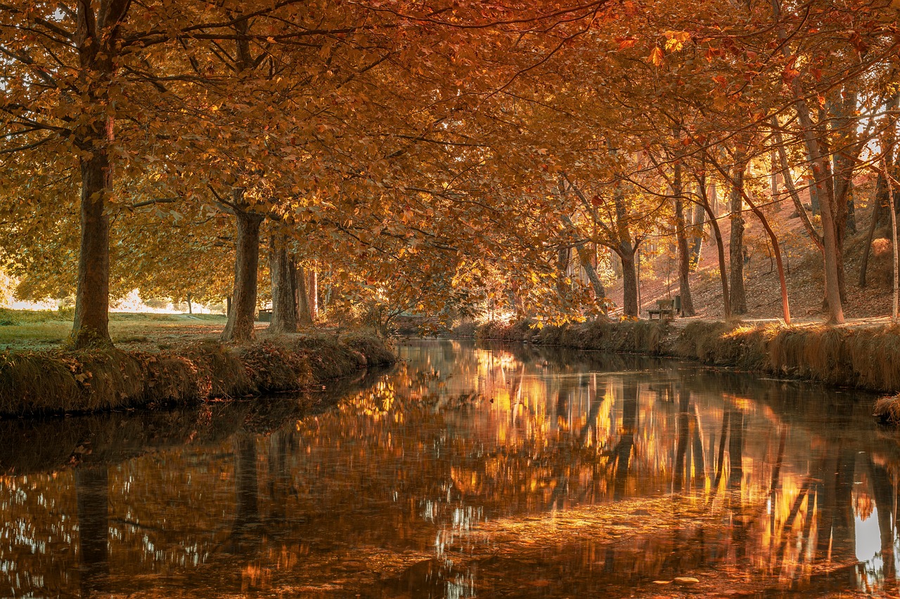 Korruptionsvorwürfe gegen Begoña Gómez belasten Sánchez‘ Regierung in Spanien